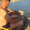 Scopino81