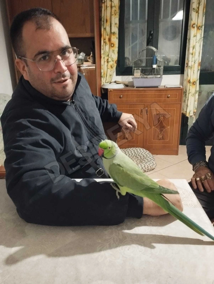 Annuncio (8712225) - Samuele36 1