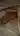 Annuncio (8713512) - omar4real 2
