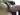 Annuncio (8578888) - Danym77 3