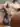 Annuncio (8774846) - santiagobull 3