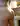 Annuncio (8756902) - Bellamazza76 2