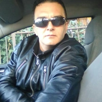 Domenicorok
