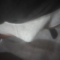Gbar123