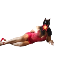 Milferotika
