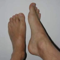 leccoipiedi