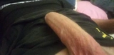 Annuncio (8719064) - DEMONIO7